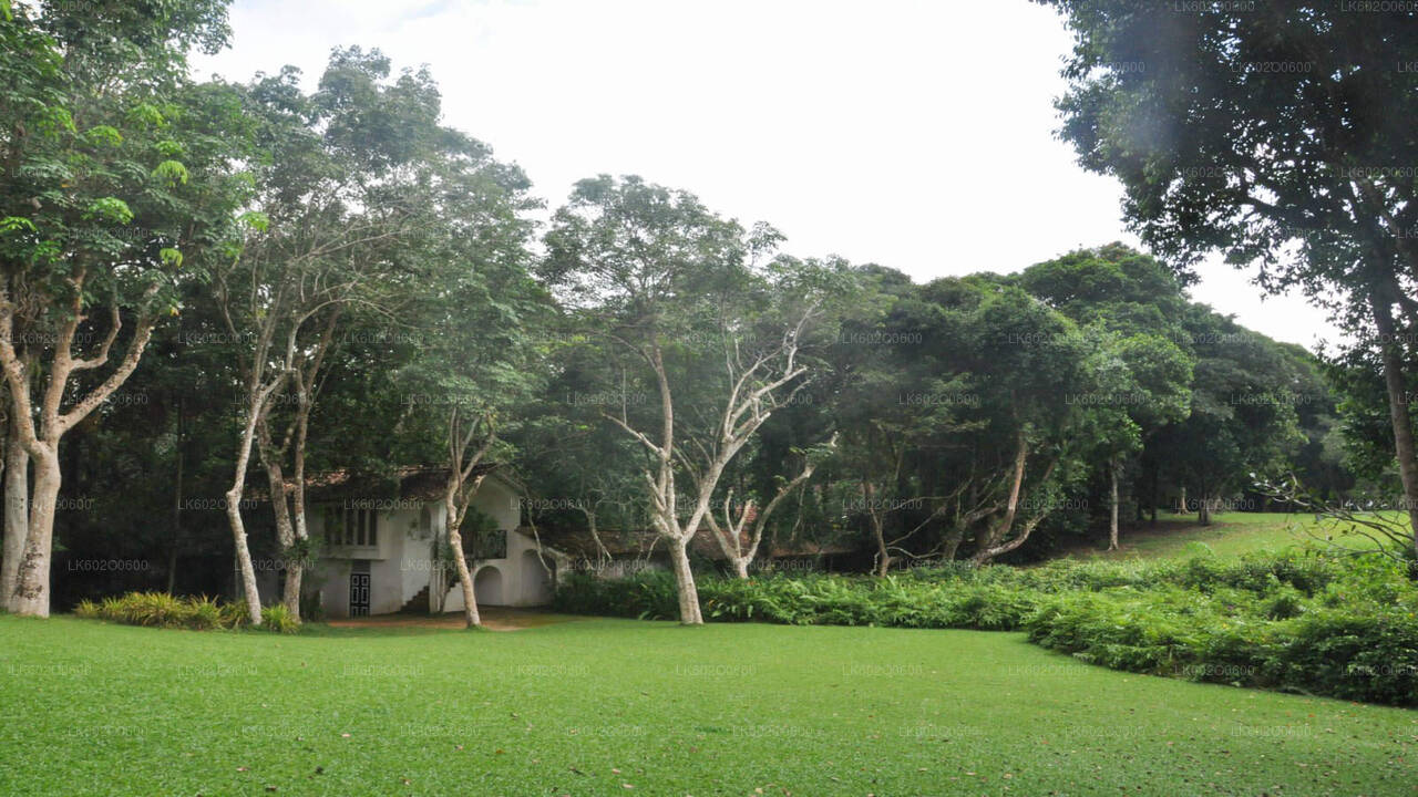 Bentota City Tour from Mirissa City