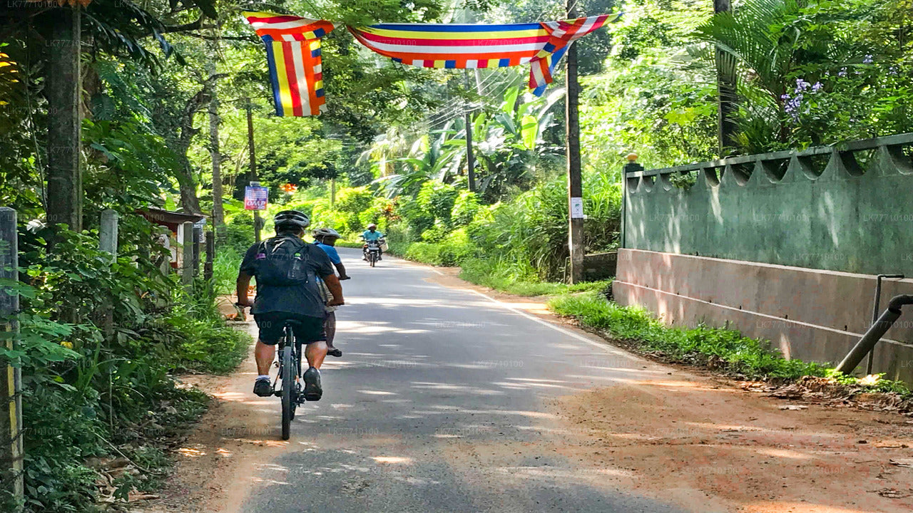 Cycling Adventure from Elpitiya City