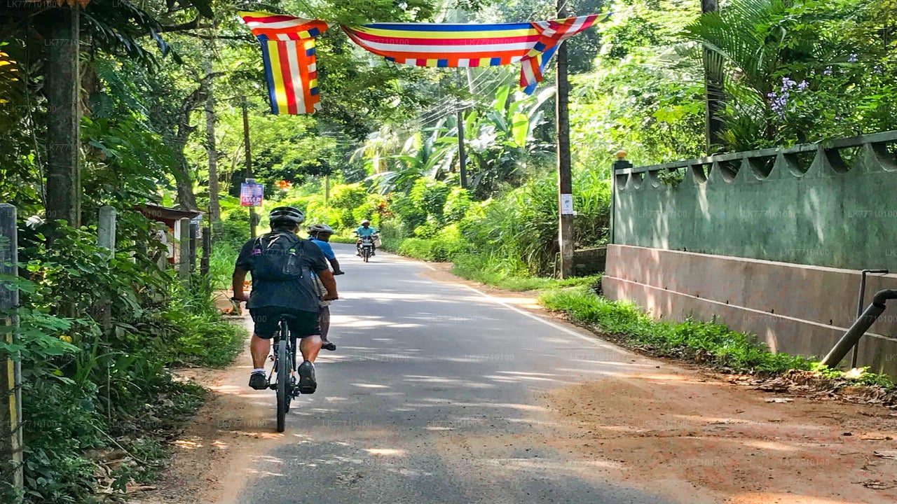 Cycling Adventure from Elpitiya City