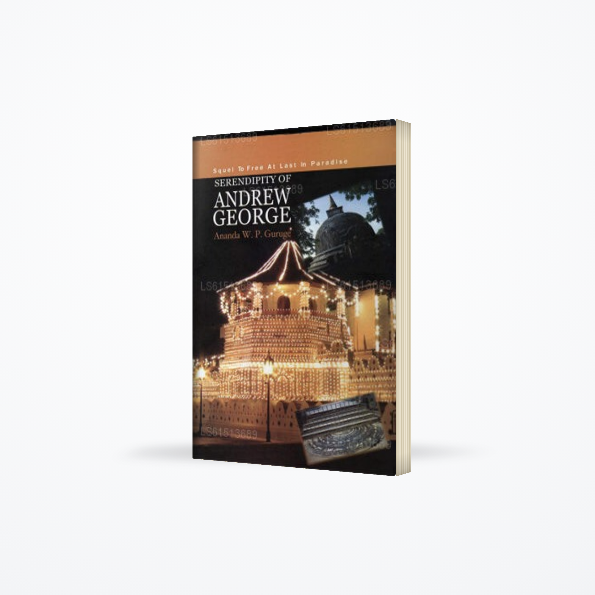 Serandipity of Andrew George