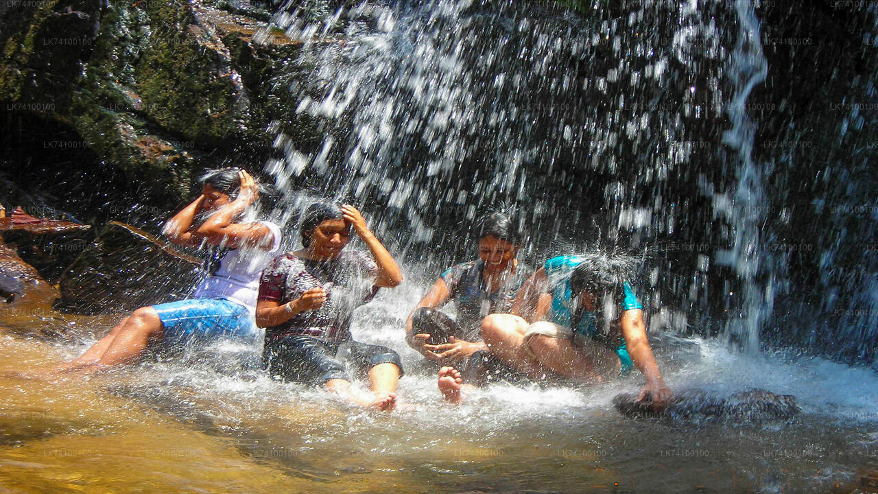 Rainforest Trekking from Kitulgala City