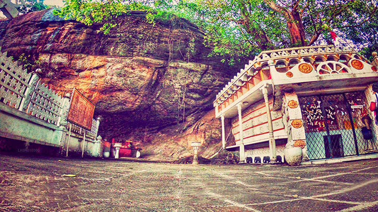Temple Run by Tuk Tuk from Colombo City