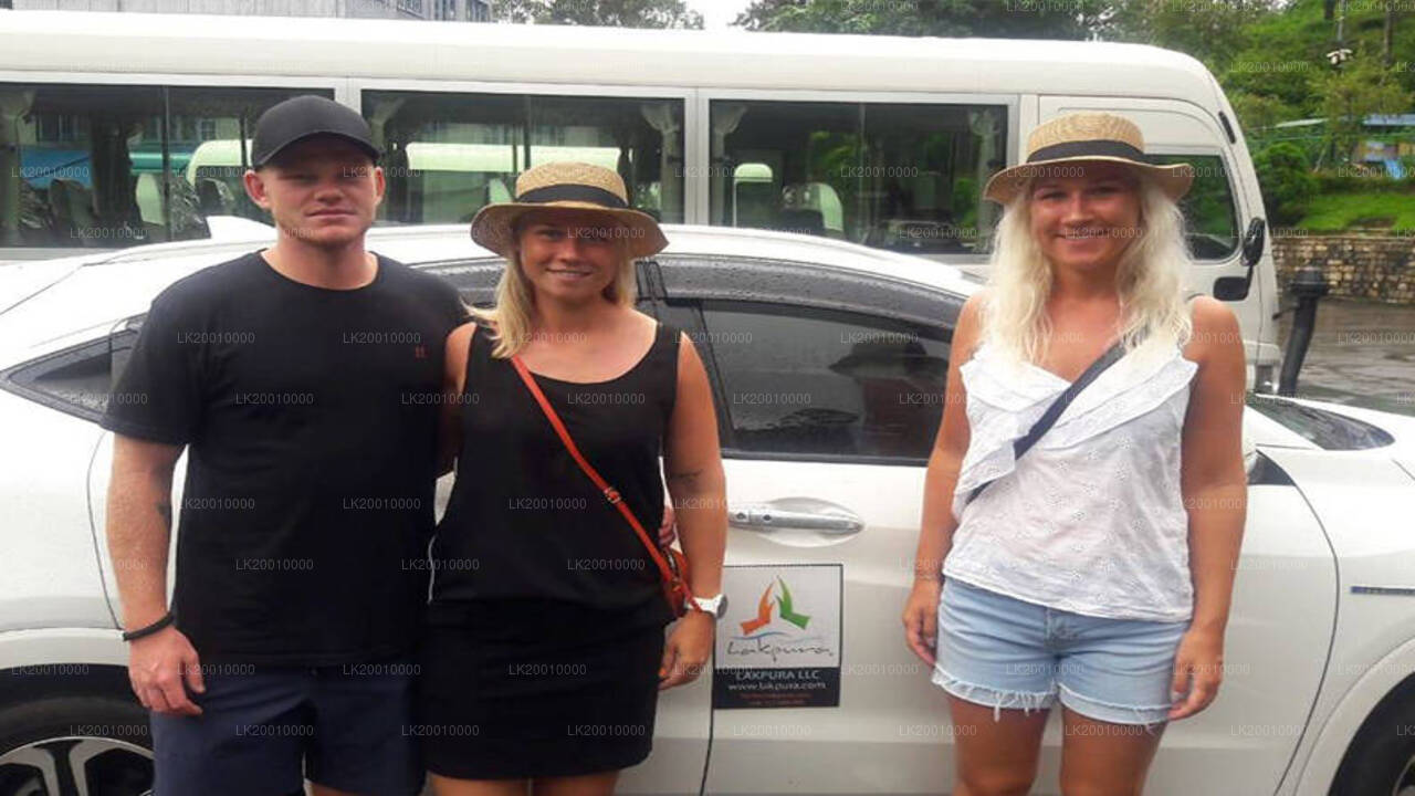 Chauffeur Driven Car (Standard) Rental