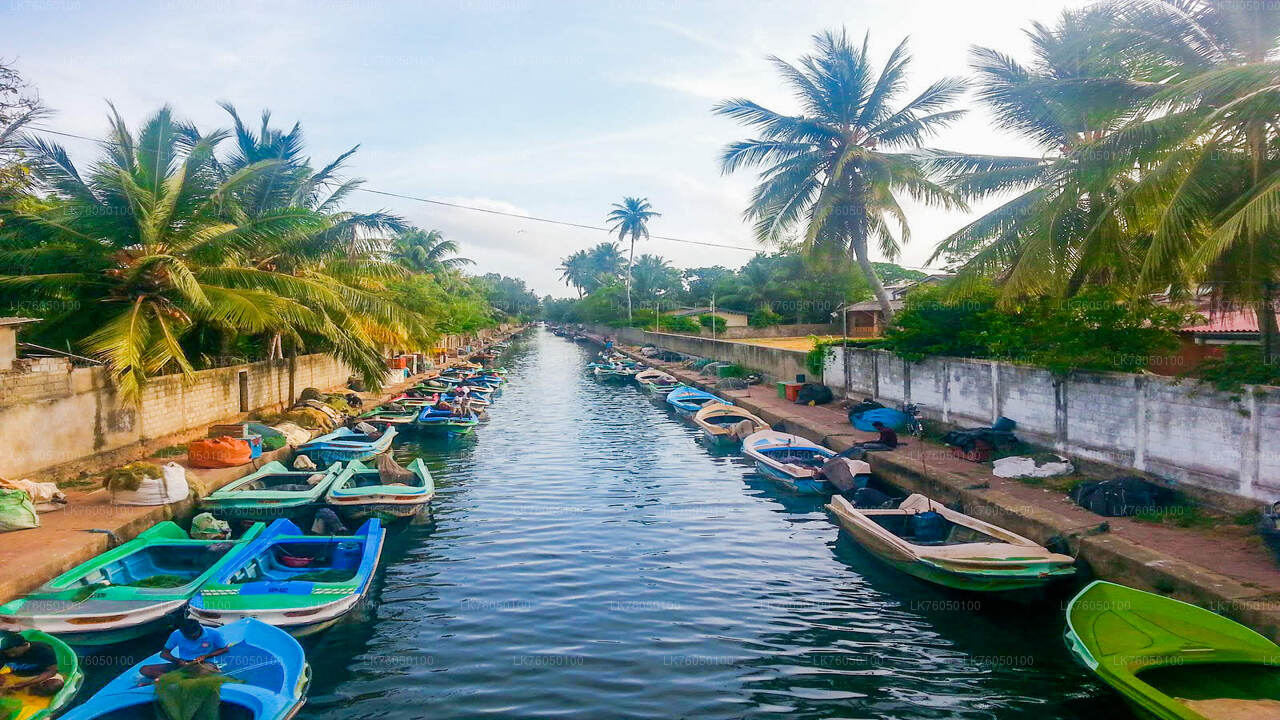 Dutch Canal Boat Tour from Negombo Beach