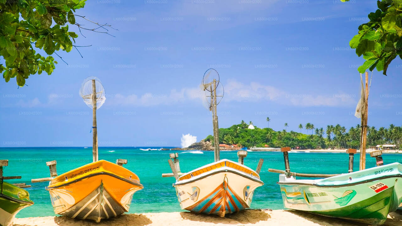 Negombo City Tour from Colombo (LKCMB) Seaport