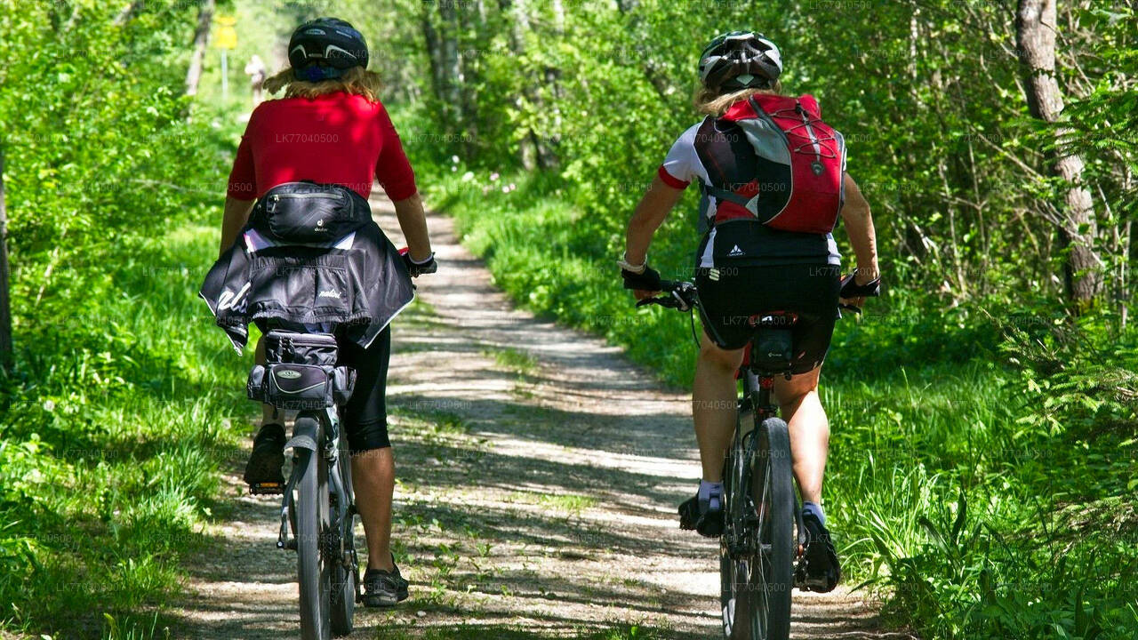Mountain Biking from Galle City