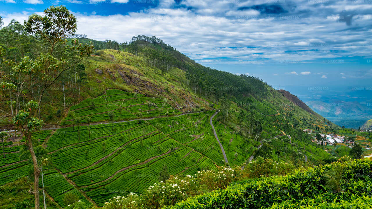Lipton's Seat View Point from Ella City