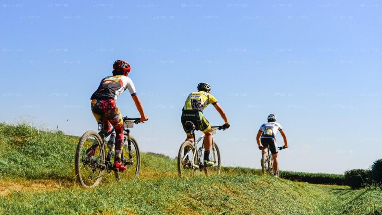 Adventure Cycling from Ella City