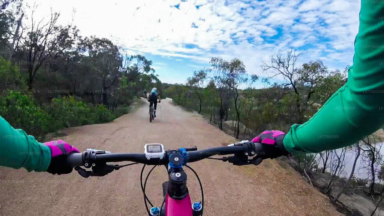 Thalangama Wetland Cycling Tour from Colombo City