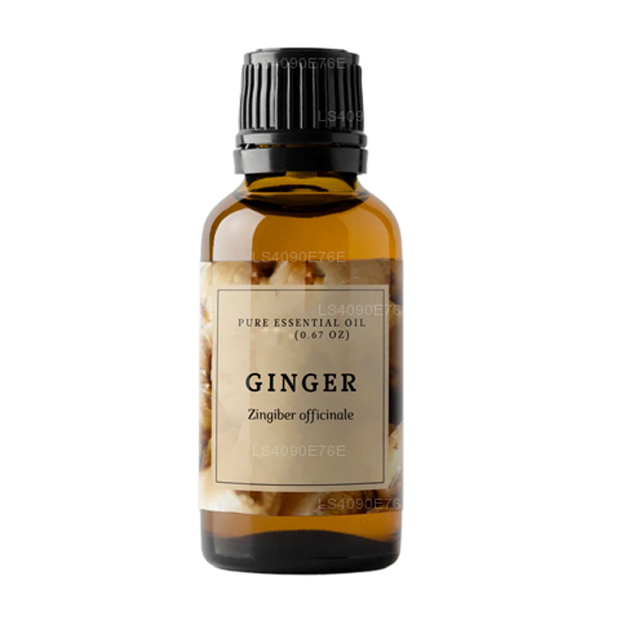 Lakpura® Ginger Essential Oil (15ml)