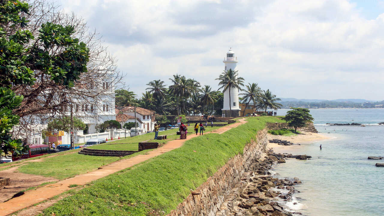Southern Coast Highlights from Koggala City