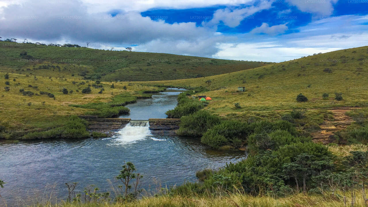 Camping at Horton Plains National Park from Colombo City