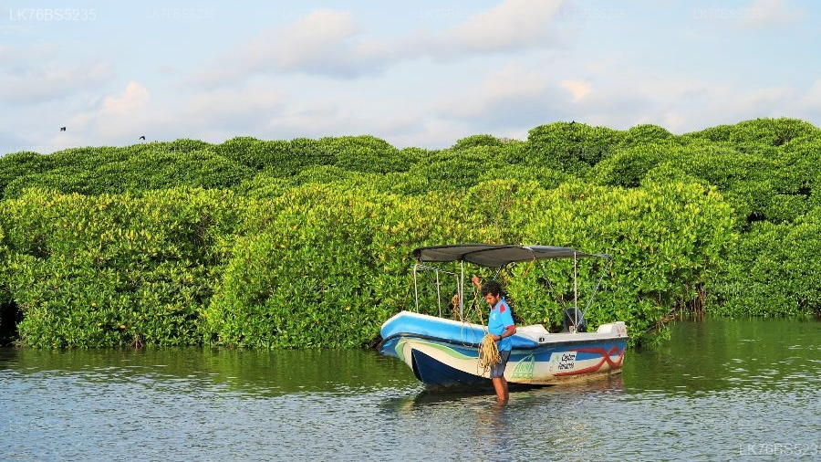 Lagoon Boat Tour from Mawella