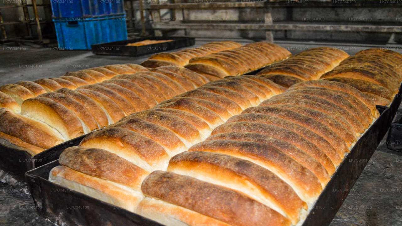 Sri Lankan Traditional Bakery Experience from Panadura City