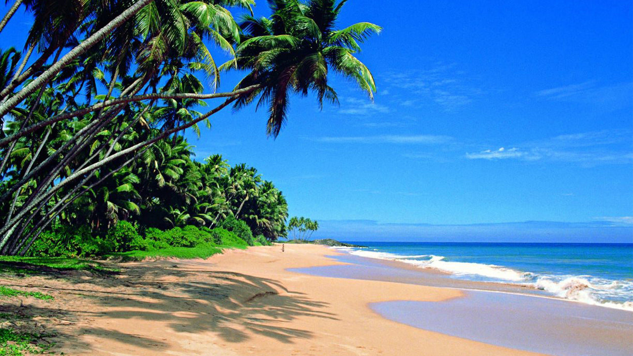 Coastal Ride to Galle from Panadura City