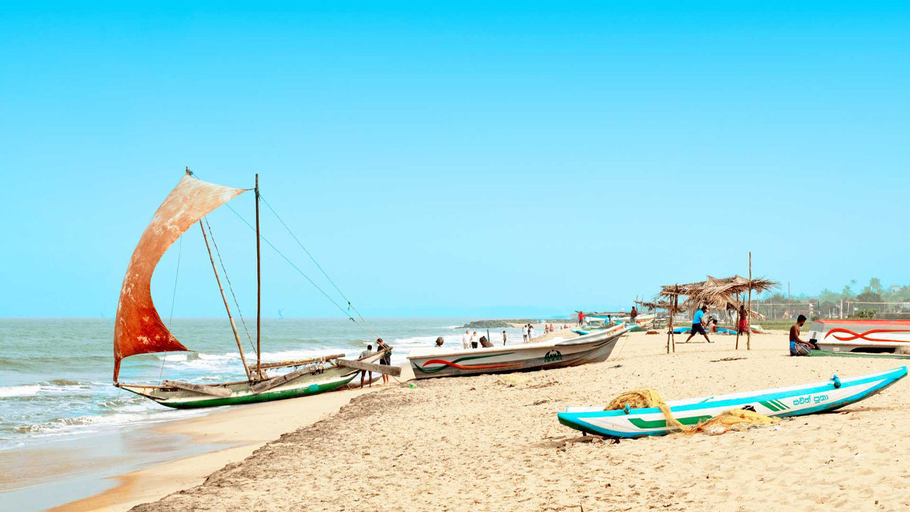 Muthurajawela and Dutch Canal Boat Ride with Negombo City Tour from Colombo City