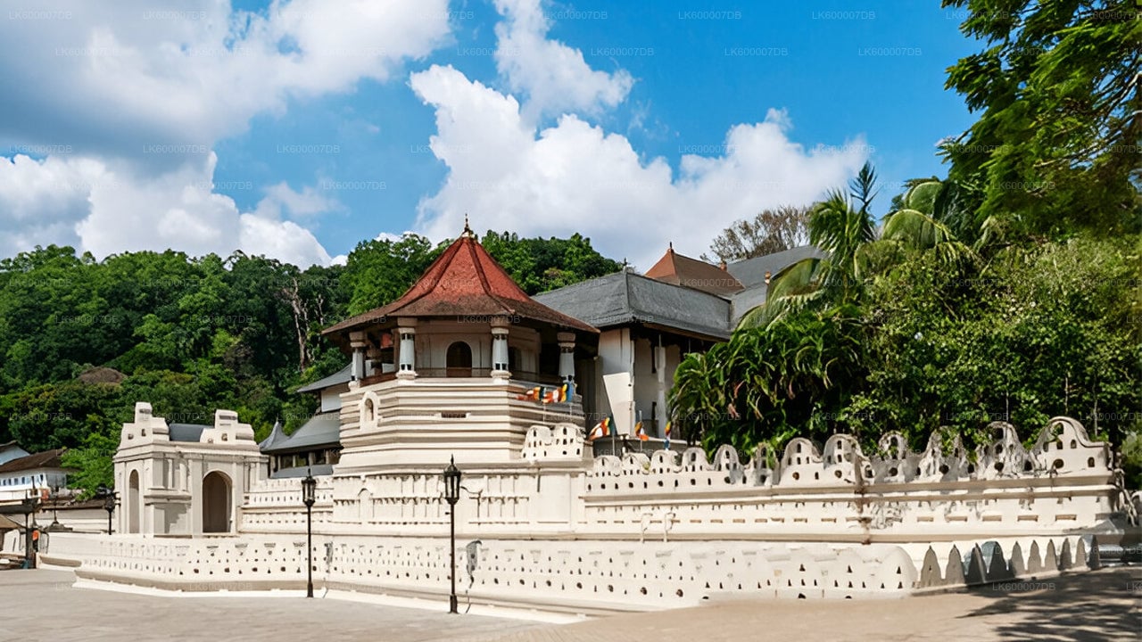 Private Transfer from Kandy to Ella with Scenic Stops