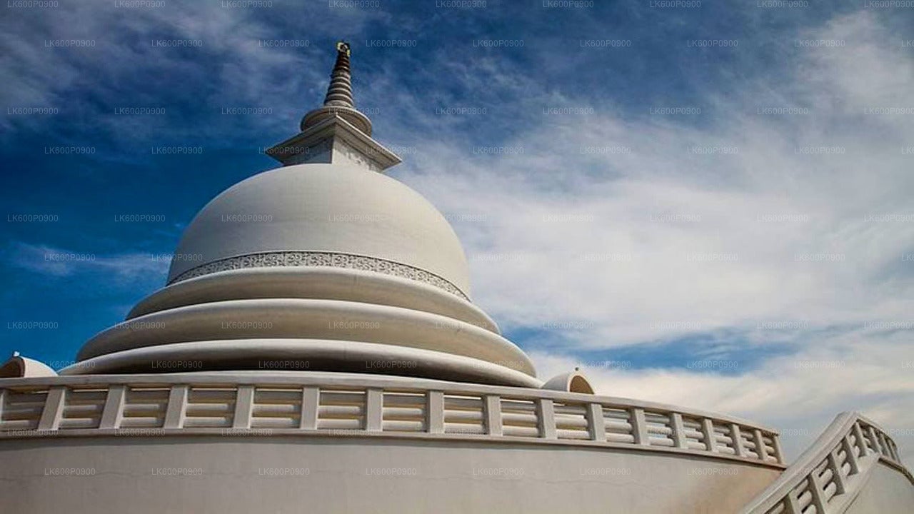 Hidden Temples and Secluded Coastlines Tour from Galle City