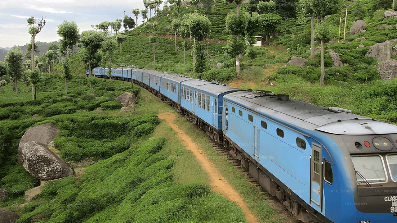 Ambewela to Ella Train Tickets (Train № 1005/ № 1015)
