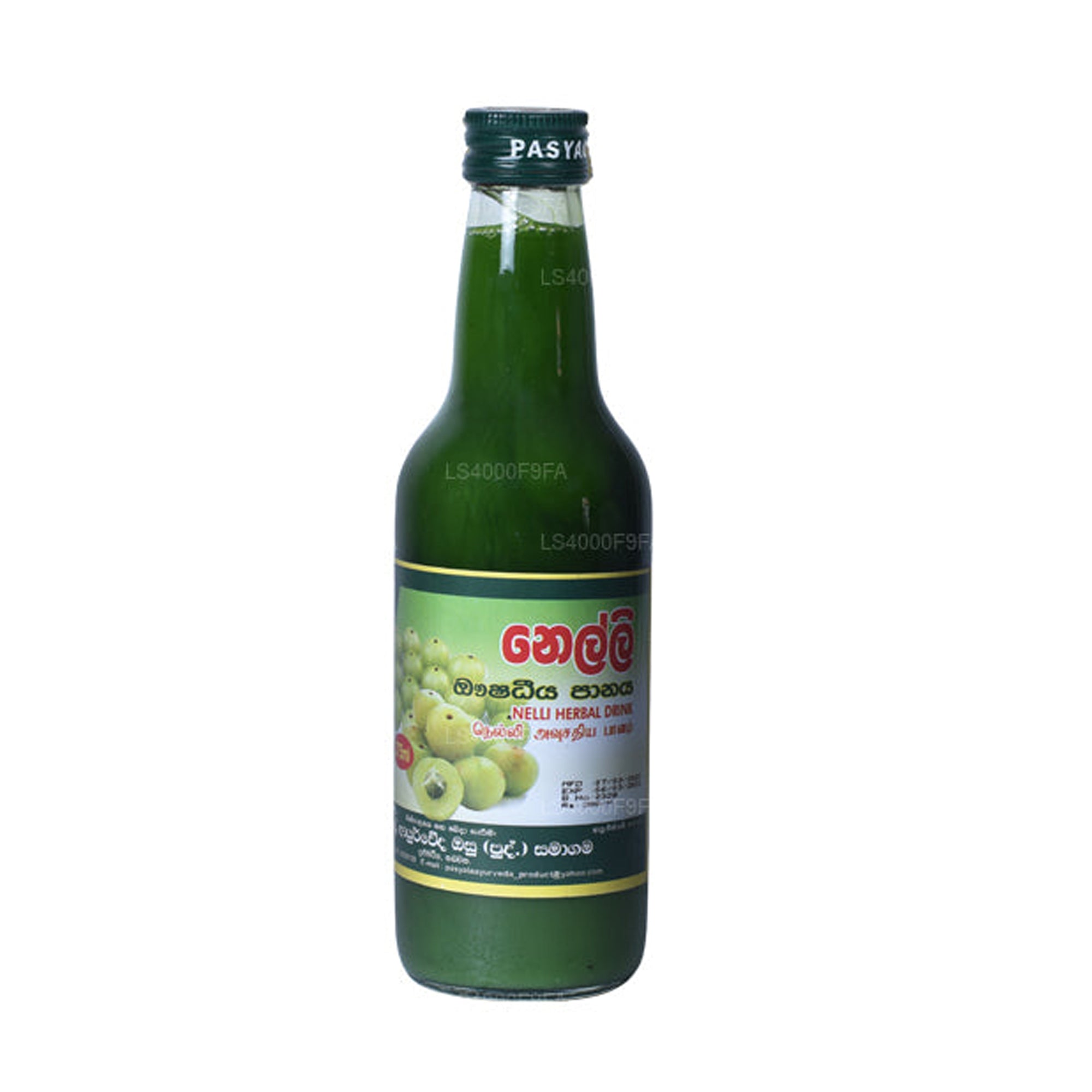 Pasyale Nelli Cordial