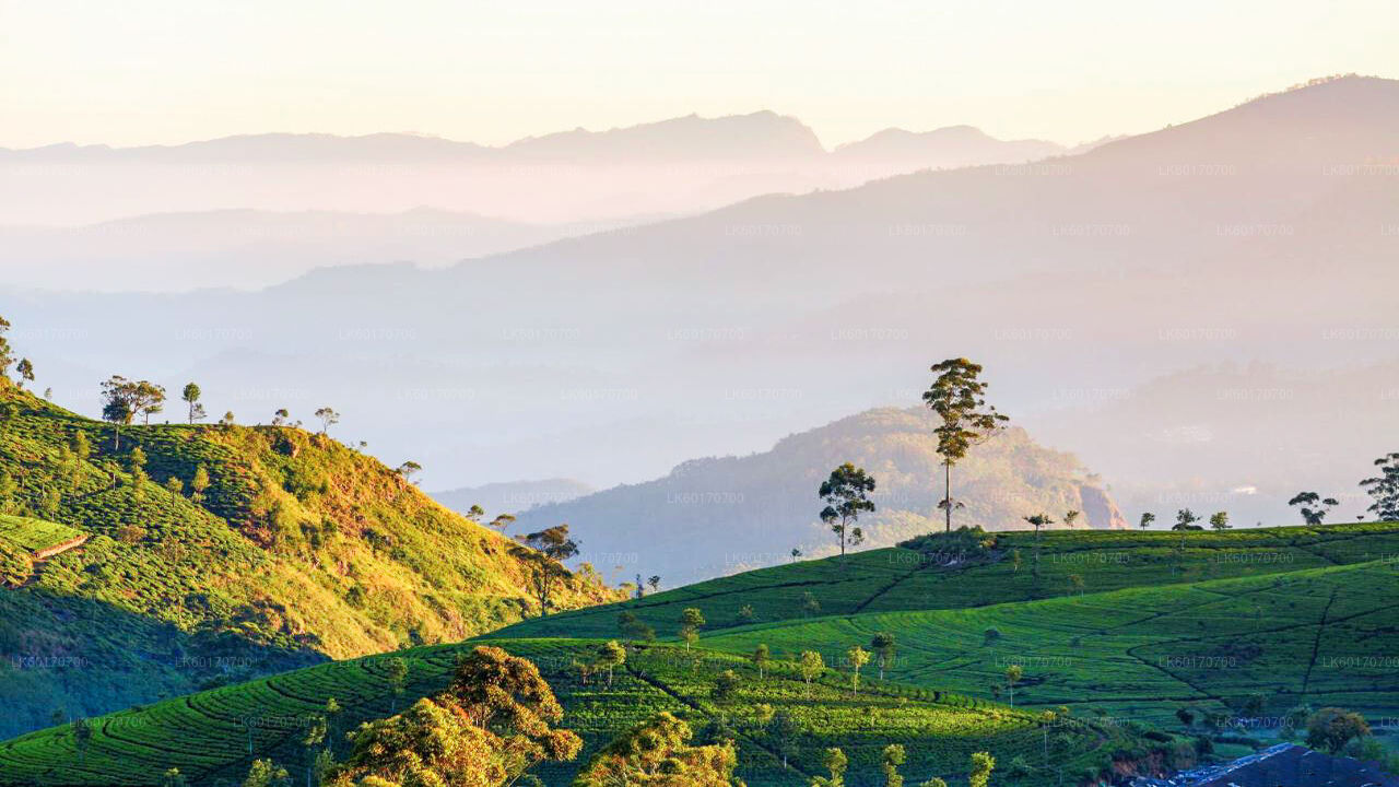 Central Highlands Peak Point from Kandy City