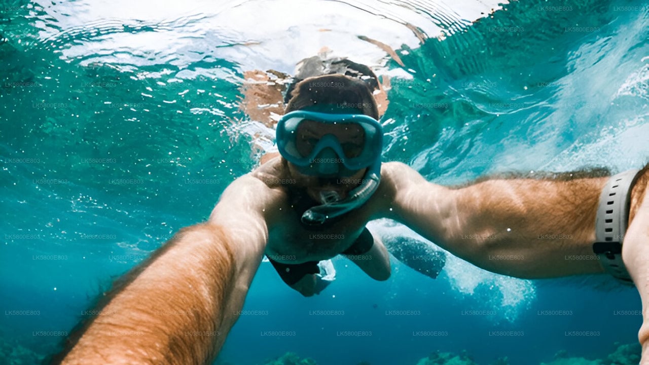 Snorkeling at Pigeon Island from Trincomalee City