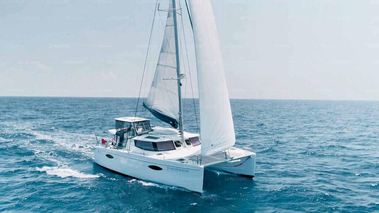 Whale Watching by Yacht from Trincomalee City