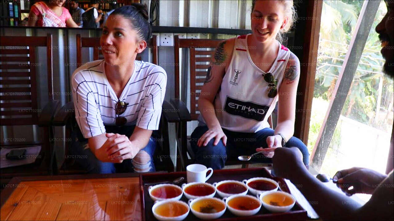 Ceylon Tea Tasting from Kandy City