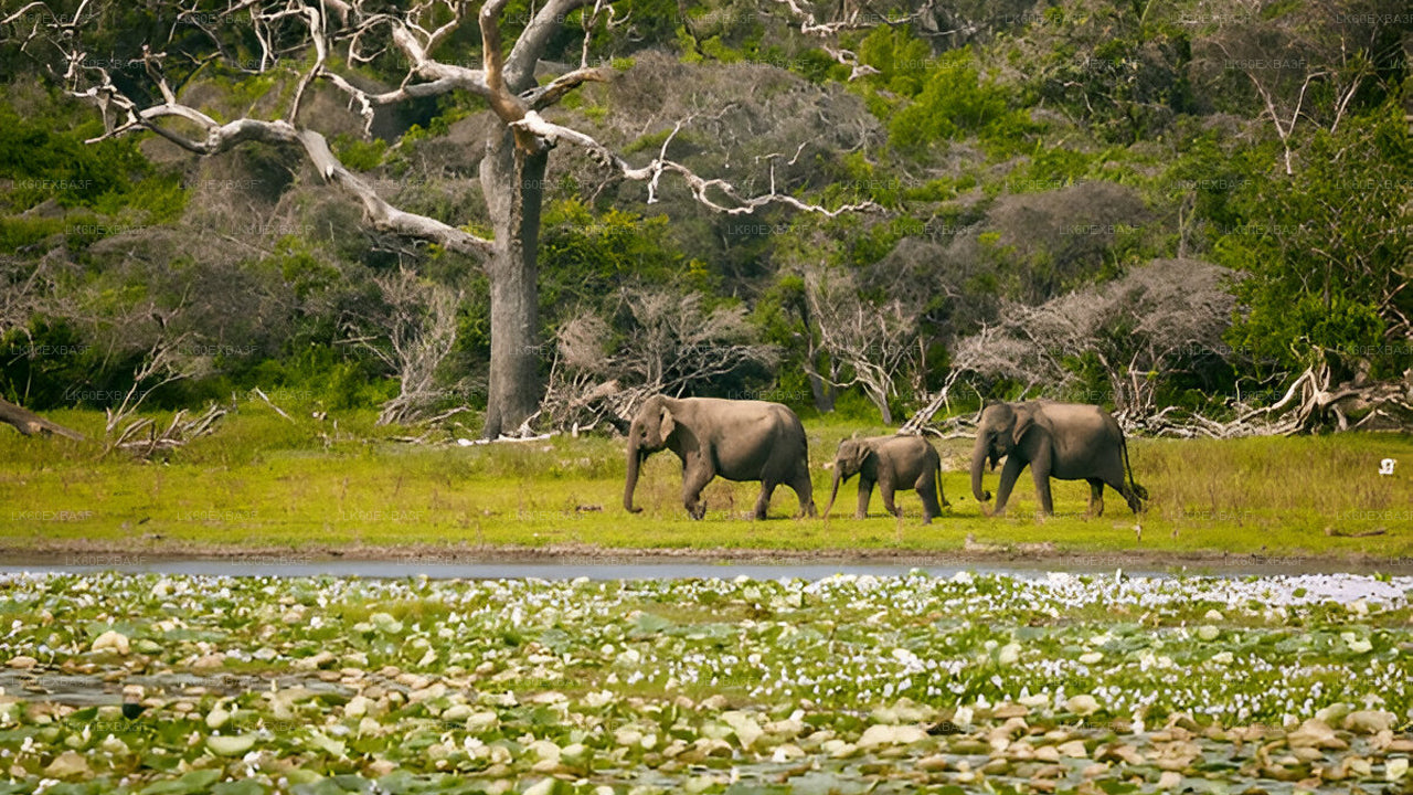 Top Tourist Destinations in Sri Lanka (10 Days)