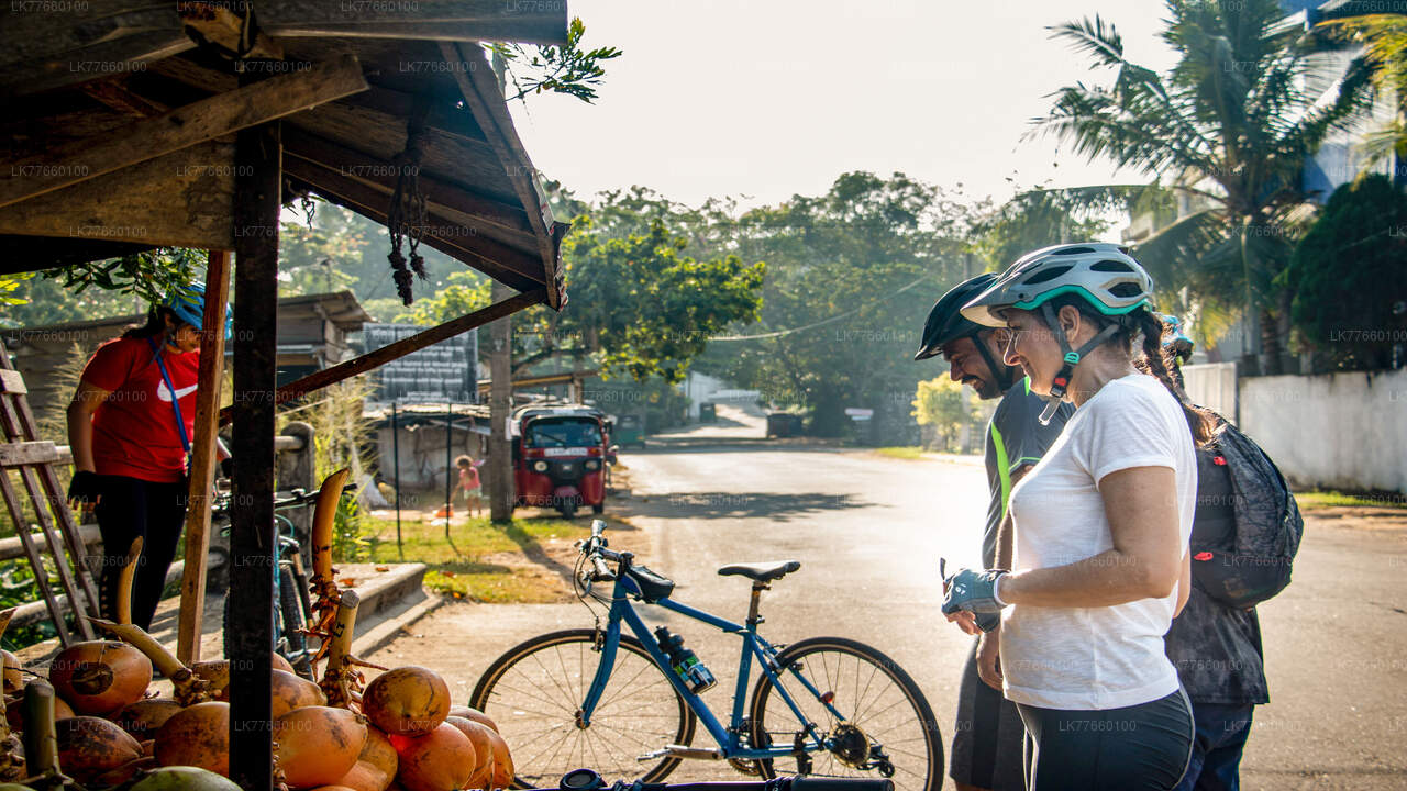 Visite à vélo Kingdom Trail au départ de Mount Lavinia City