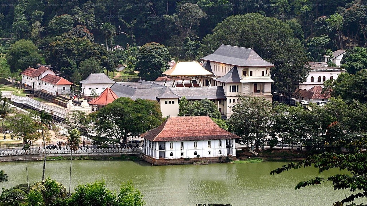 Temple of The Sacred Tooth Relic Guided Tour