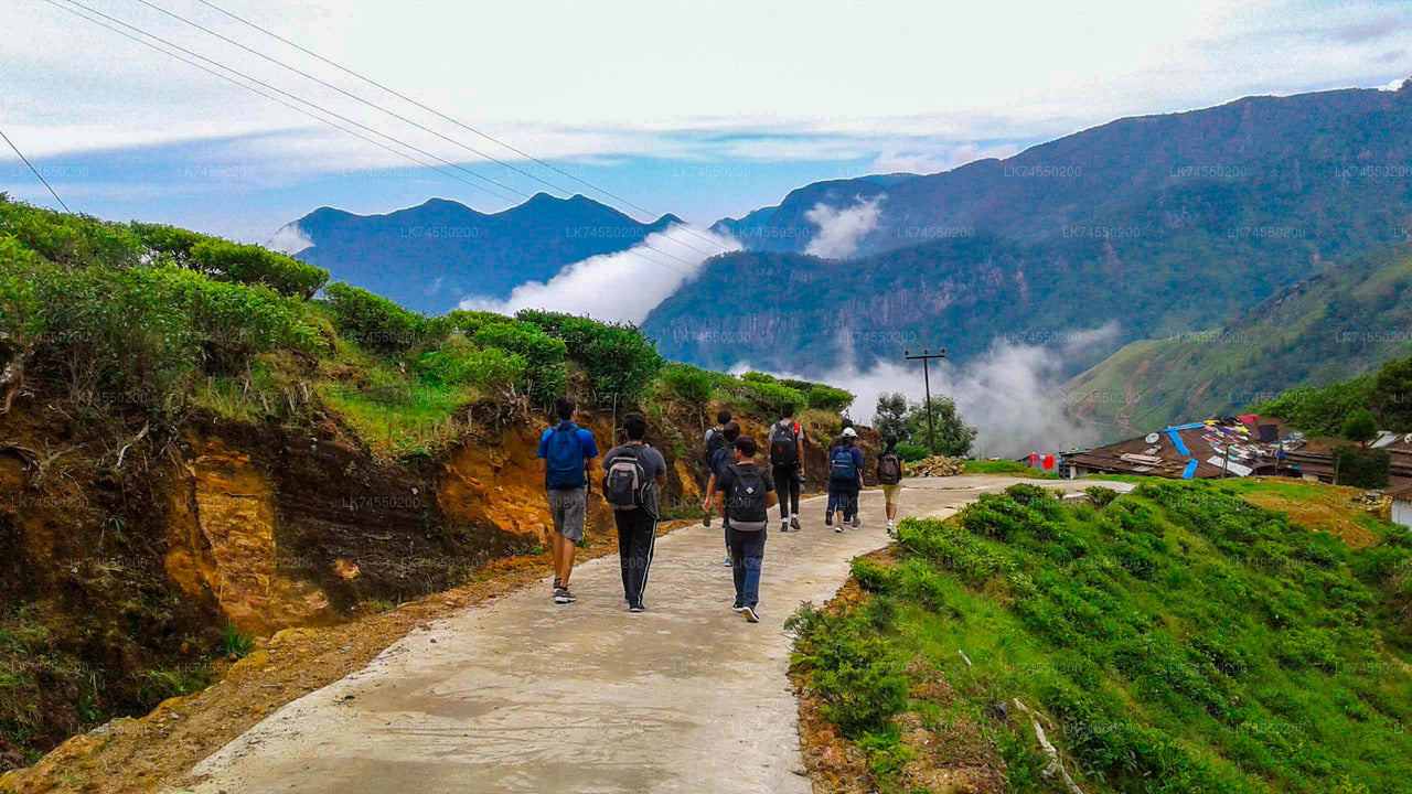 Devil's Staircase Hike from Ohiya City