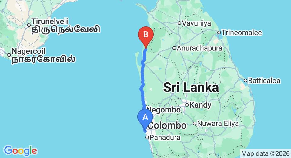 Ratmalana (RML) Airport to Wilpattu City Private Transfer
