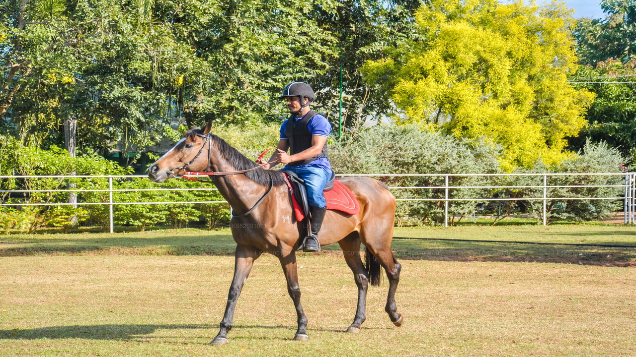 Horse Riding for Beginners from Sigiriya City