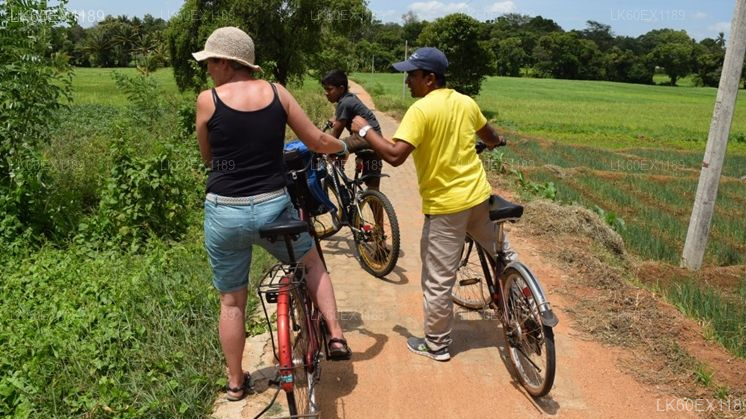 Panama Village Life Safari Experience From Panama City