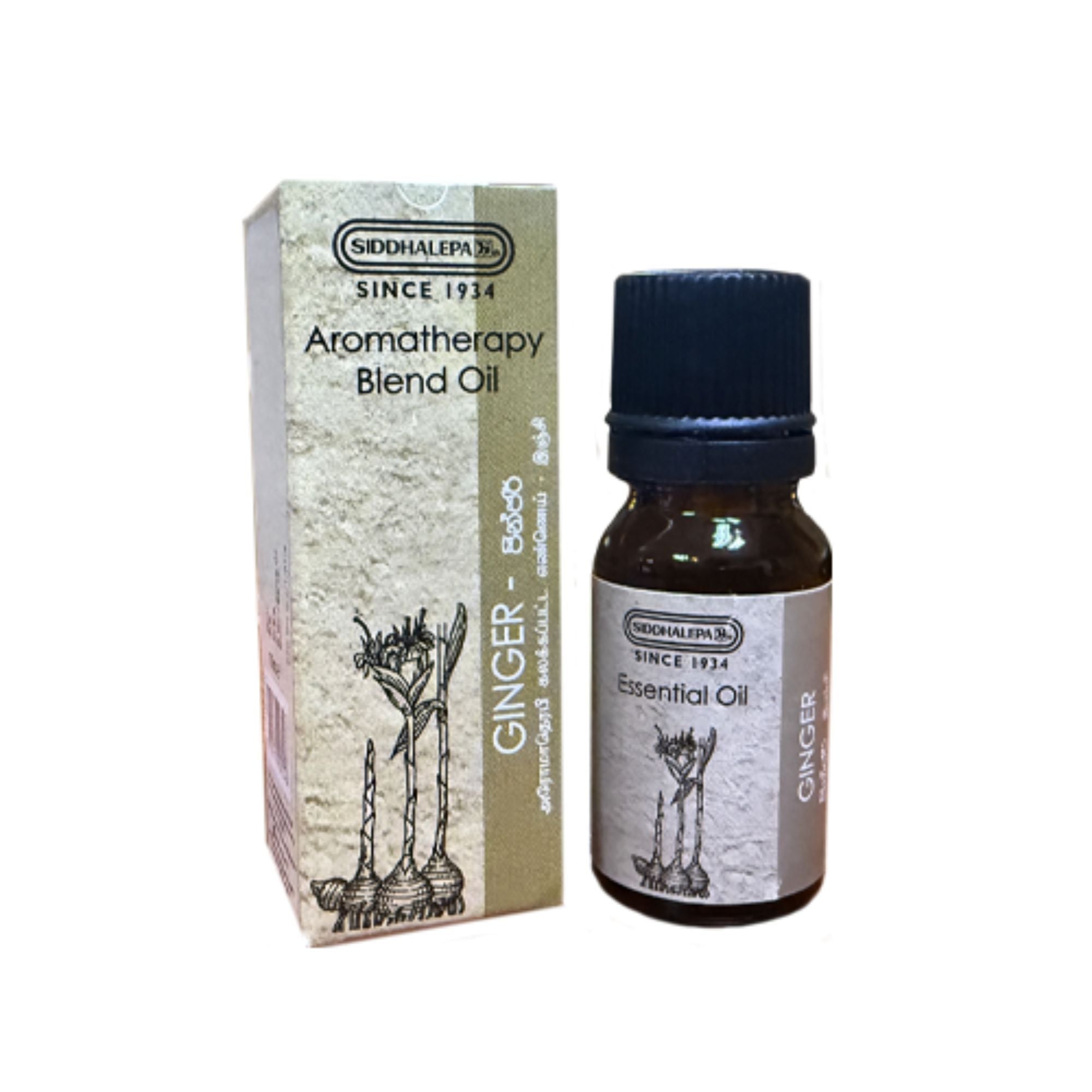 Siddhalepa Aroma Oil Ginger (10ml)