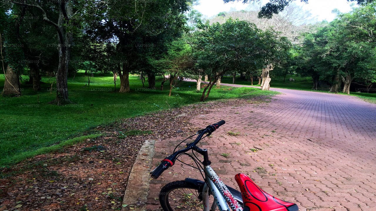 Cycling from Anuradhapura City