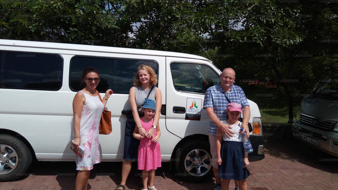 Chauffeur Driven Van (Standard) Rental