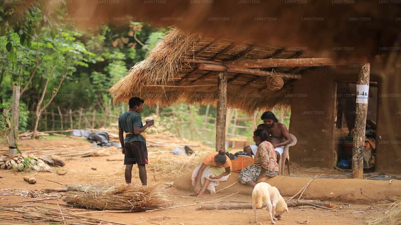 Waterfall Hike and Aboriginal Village Tour from Kandy City