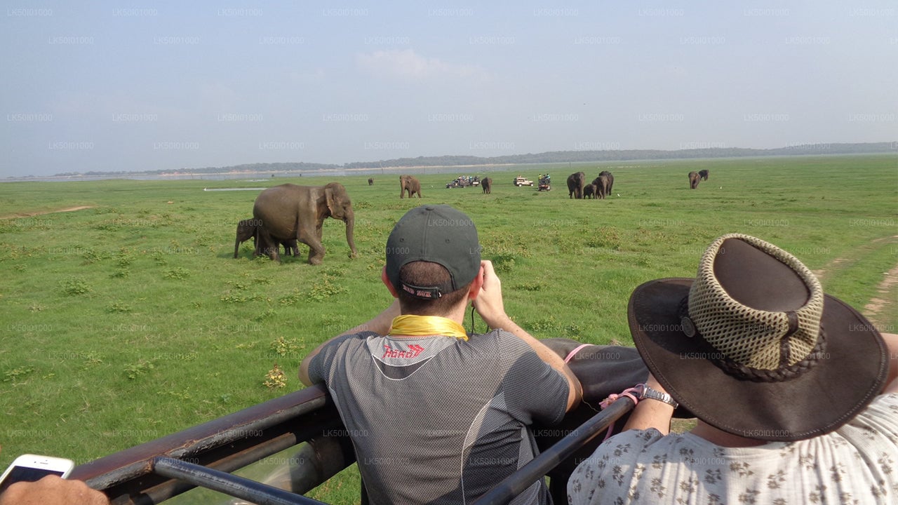 Wasgamuwa National Park Private Safari with Guide