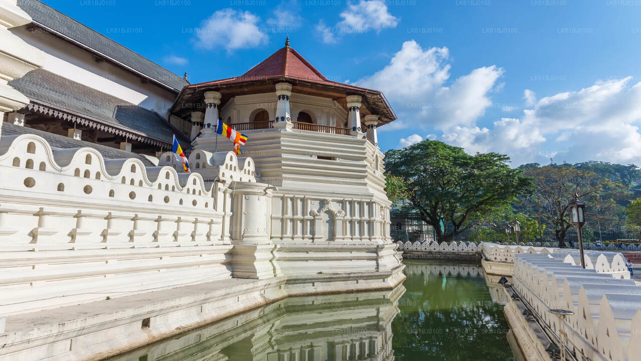 Kandy City Tour from Colombo (LKCMB) Seaport