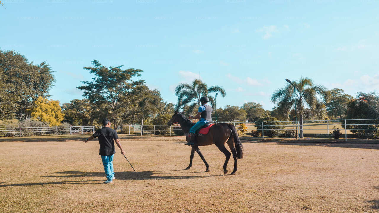 Horse Riding for Beginners from Habarana City