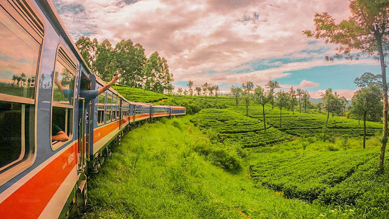 Ella to Peradeniya Train Tickets (Train № 1002 "Denuwara Menike")