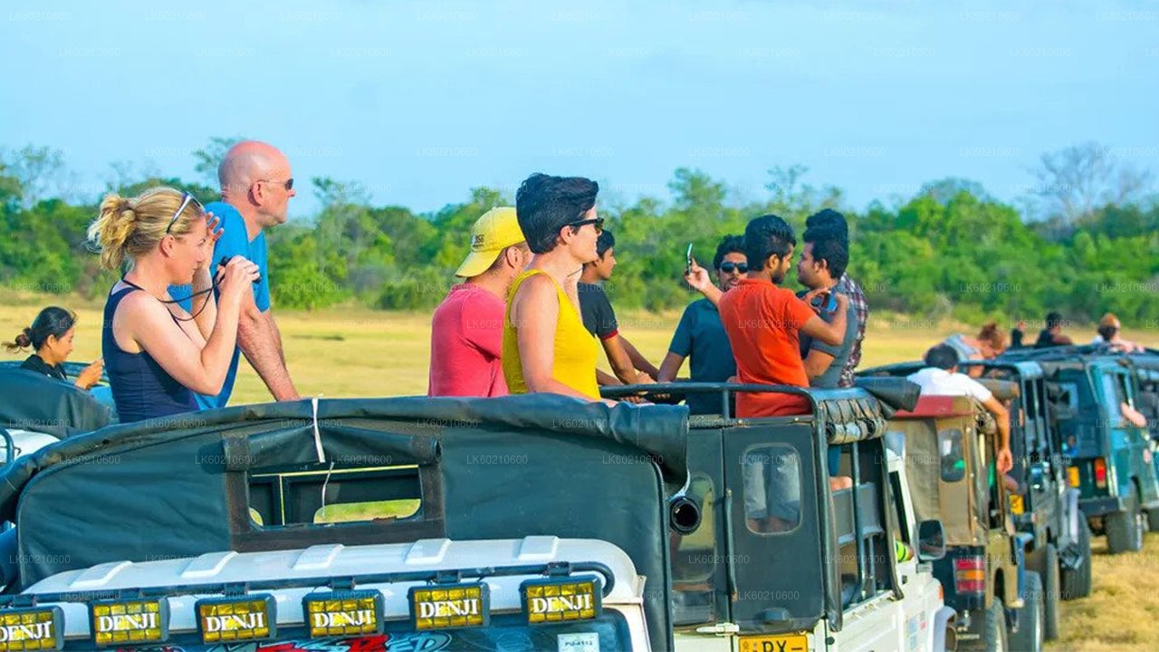Bundala National Park Safari from Tangalle City