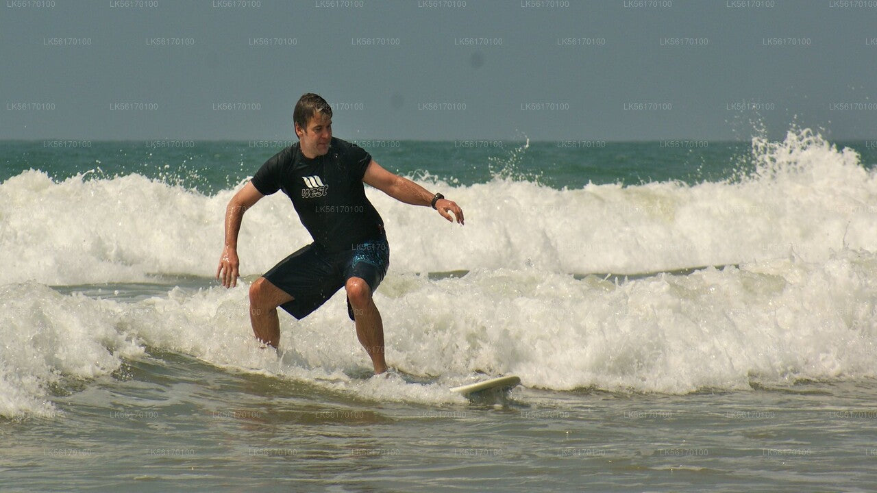 Surfing from Arugam Bay City