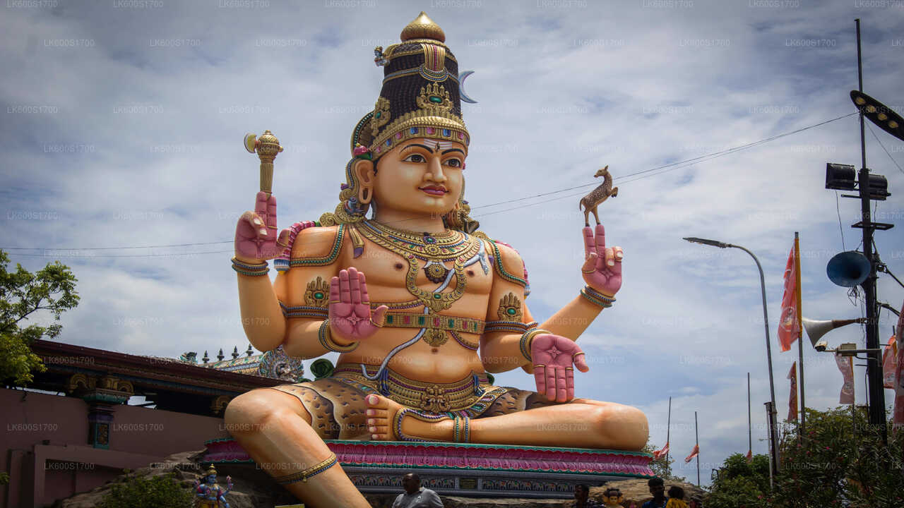 Trincomalee City Tour from Habarana City