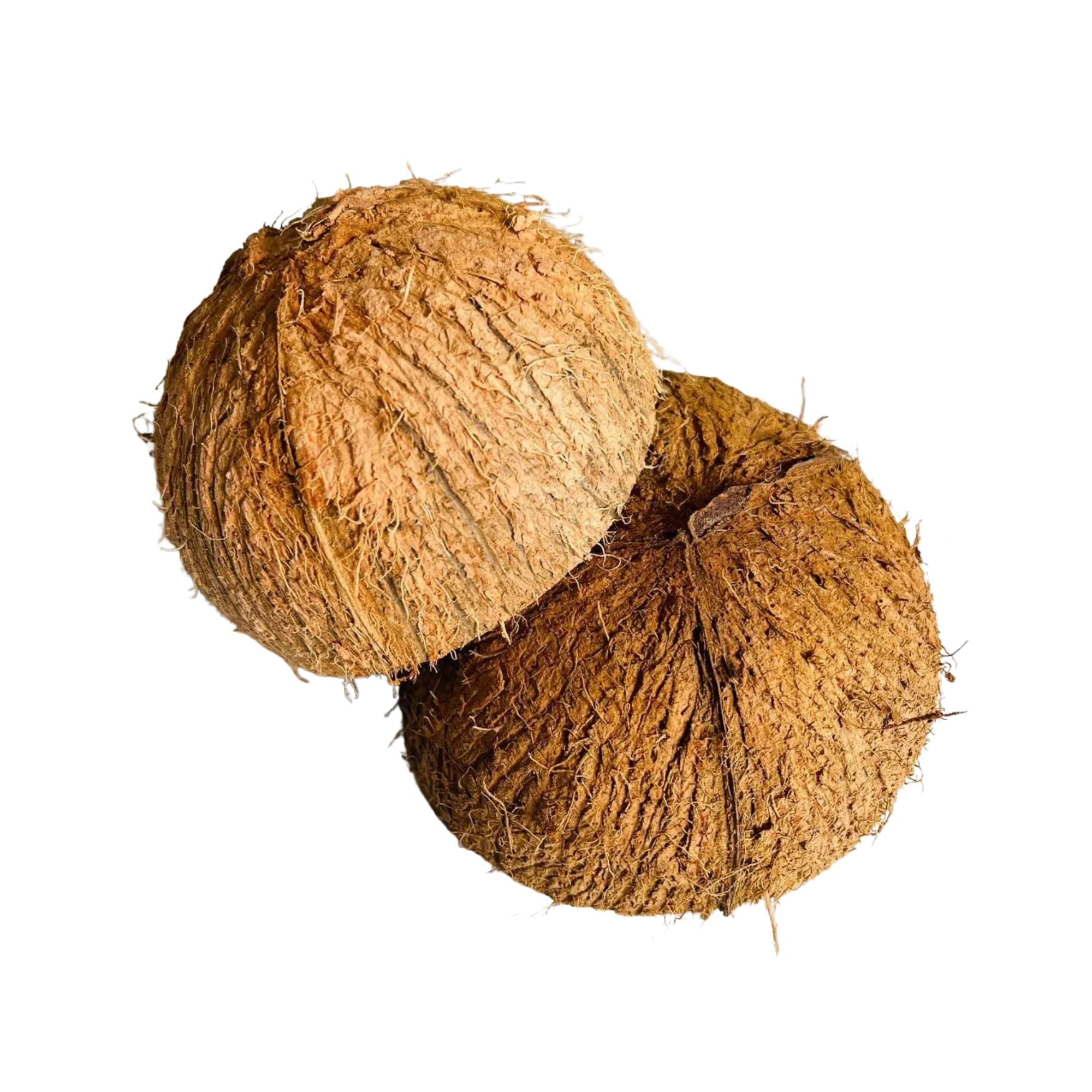 Lakpura® Coconut Shell Halves (with Fiber)