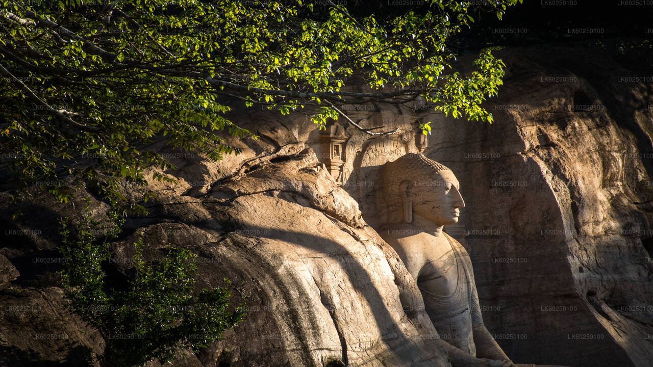 Polonnaruwa Ancient Kingdom and Wild Elephant Safari from Pasikuda City