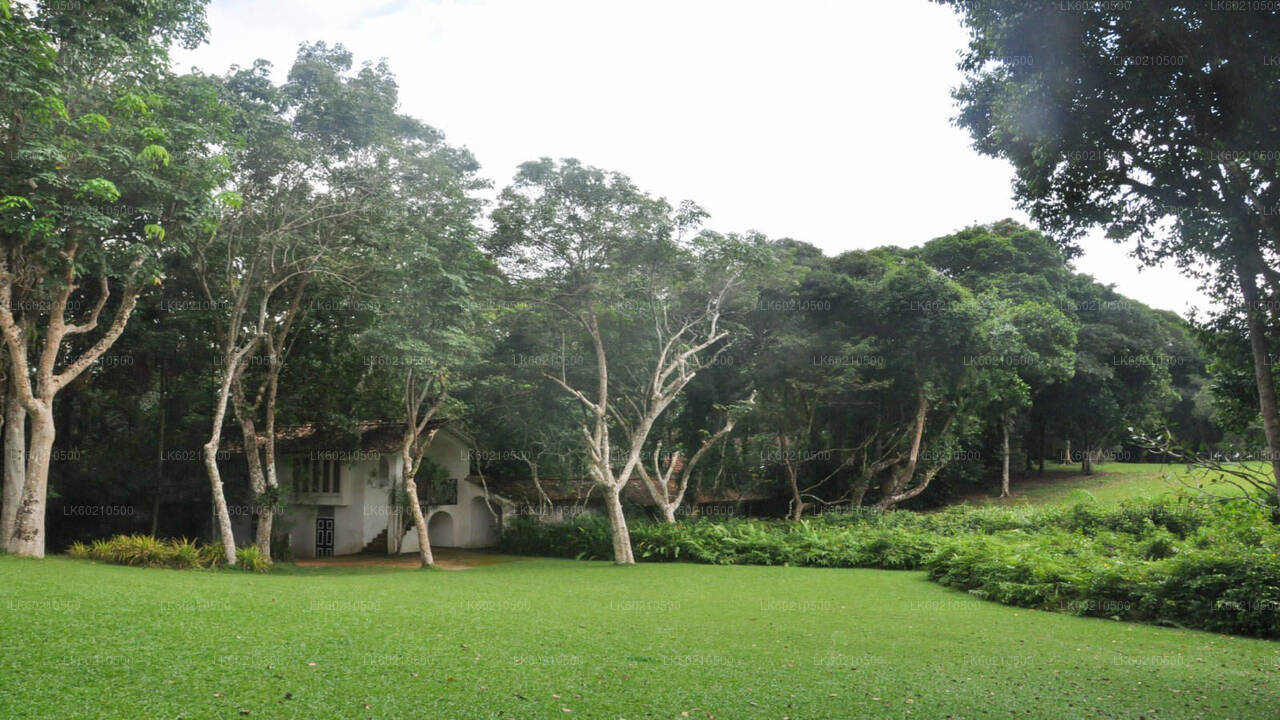 Bentota City Tour from Tangalle City