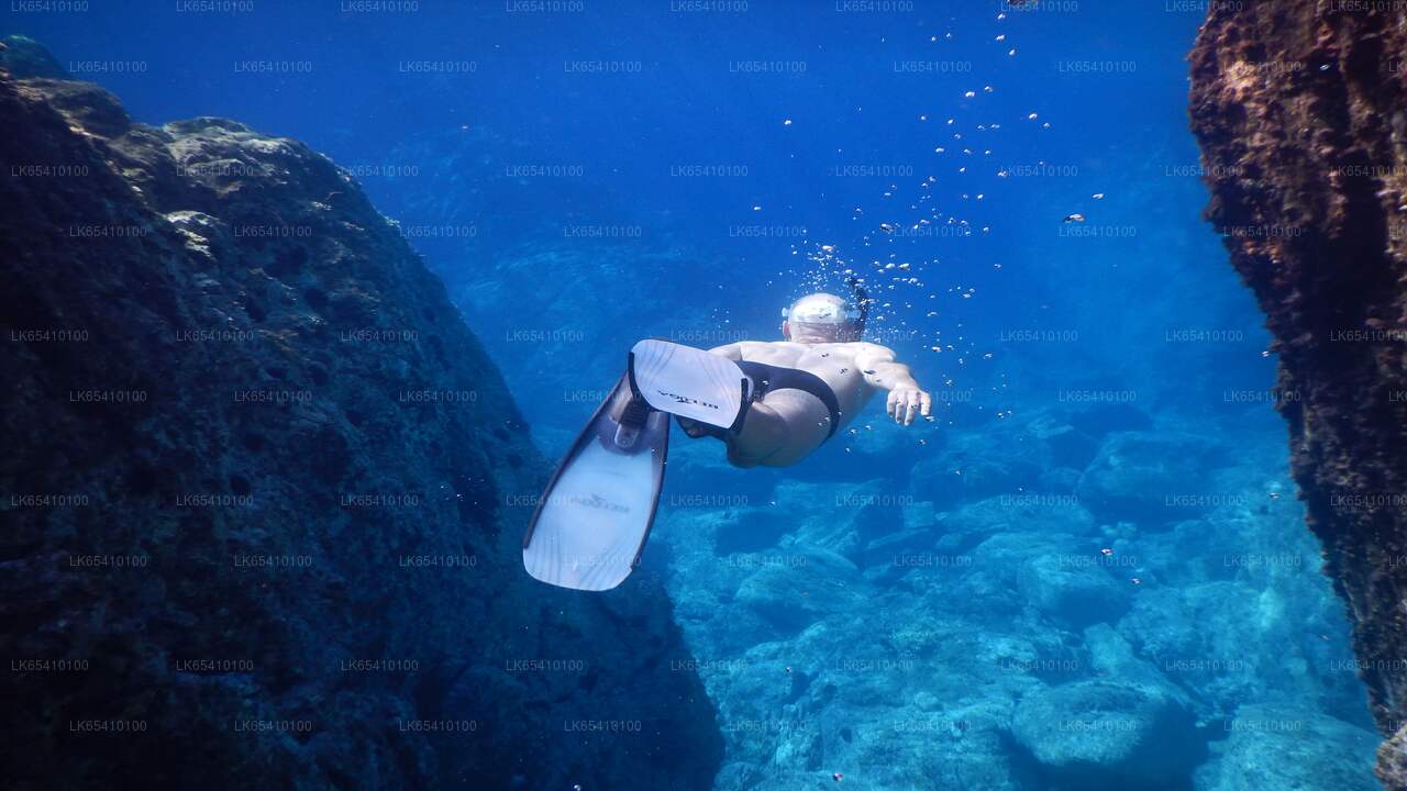 Scuba Diving from Unawatuna City